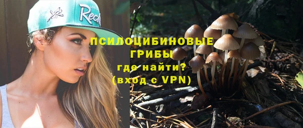 хмурый Абинск